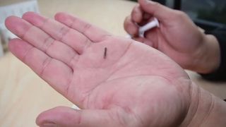 Micropuce pour animaux de compagnie de nouvelle génération avec température | Regarder la démo de l'injecteur