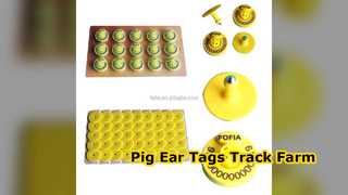 Pig Ear Tags Track Livestock Laser Print Farm