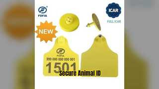 Étiquette d'oreille ICAR RFID, identification des animaux, abattage d'élevage