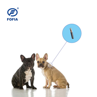 Identification RFID des animaux de traçage microchip Injection d'animaux de compagnie ICAR certifié avec 4 autocollants de code-barres