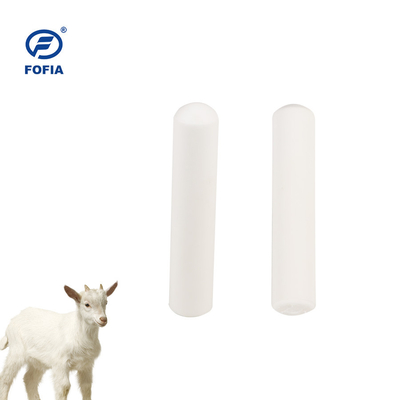 Étiquette d'identification animale Bétail Bétail Rfid Bolus 134.2khz