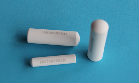 Étiquette d'identification animale Bétail Bétail Rfid Bolus 134.2khz