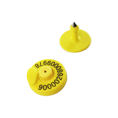 TPU RFID Tags dans les animaux Identification et suivi moutons chèvres porc