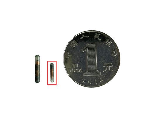 Micro-puce d'identification animale avec ISO11784/5 Fdx-b R/w Standard pour le système de contrôle de la température des animaux