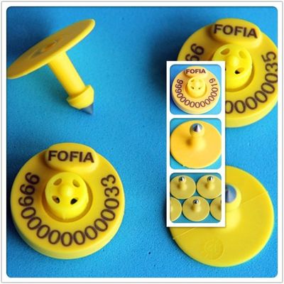 Free Sample NFC RFID Ear Tag with 5 Years Guarantee for Livestock Animal Tracking