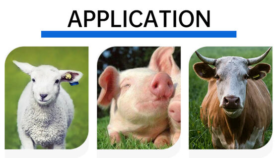 Étiquette RFID certifiée ICAR avec matériau TPU et fréquence 134,2 kHz pour la gestion des moutons et des chèvres