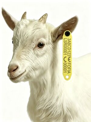 Étiquette d'oreille RFID anti-perte résistante aux hautes températures pour moutons avec matériau TPU et puce RFID intégrée