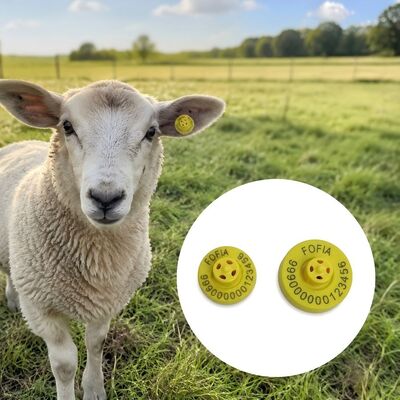 Étiquettes auriculaires électroniques à impression laser conformes aux normes de conformité FDX-B garantissant l'identification et la gestion des données sur le bétail