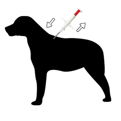 ZS007 Kit de suivi de l'identification des animaux de compagnie de petite taille ultra-petit et léger