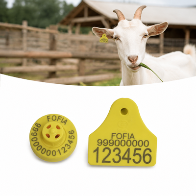 4.0g Étiquettes d'oreille de mouton Fréquence 134.2KHz Parfait pour l'étiquetage d'oreille de chèvre Fournissant une identification et un suivi clairs