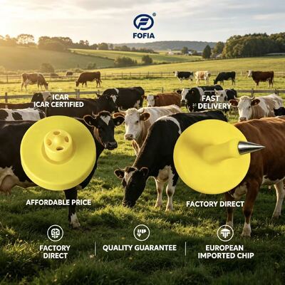 Étiquettes auriculaires électroniques RFID ISO11784 85 FDX B Conforme à ICAR Certifié TPU imperméable pour la traçabilité et la gestion des animaux