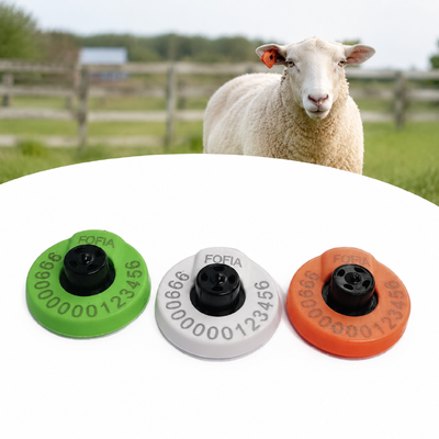 Étiquettes d'oreille de vache en TPU conformes aux normes HDX étiquettes légères et résistantes conçues pour le suivi du bétail et la tenue de dossiers agricoles