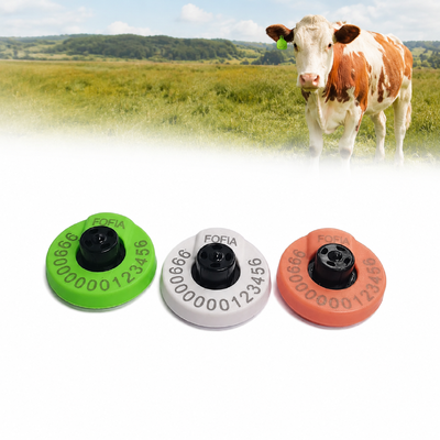 Étiquettes auriculaires électroniques Tension 350N avec certification FULL ICAR garantissant l'identification du bétail et l'efficacité des opérations agricoles