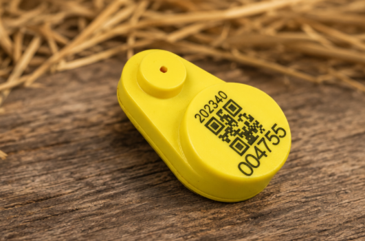 Étiquettes auriculaires électroniques durables pour l'identification des animaux conçues pour fournir des solutions précises et de suivi pour la gestion du bétail