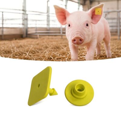 Impression laser des étiquettes d'oreille de porc avec normes de conformité EPC Gen2 V2 0 Idéal pour le suivi du bétail et la gestion de l'exploitation agricole