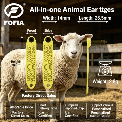 Étiquette d'oreille électronique RFID résistante aux températures élevées pour moutons avec matériau TPU