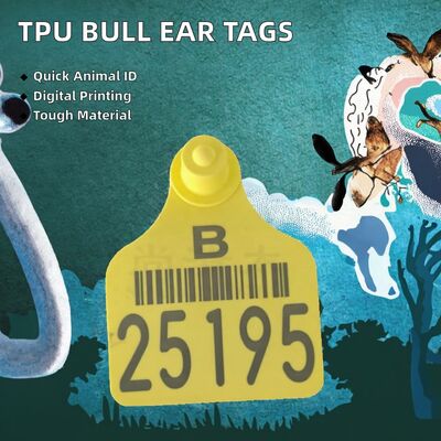Étiquettes d'oreille personnalisables certifiées ICAR pour moutons en TPU avec impression