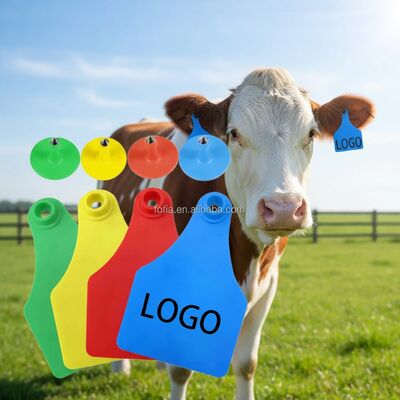 T904 Étiquette d'oreille visuelle en TPU durable pour l'élevage et l'abattage