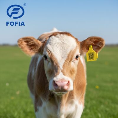 Nouveau T921 étiquette d'oreille pour animaux jaune TPU RFID de haute qualité pour les bovins d'élevage