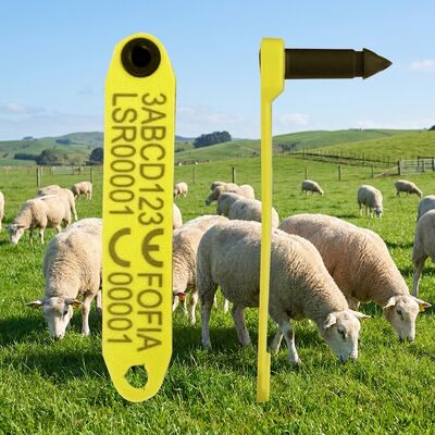 Étiquette d'oreille de mouton RFID FDX-B HDX RFID approuvée par ICAR ET969 pour le suivi du bétail
