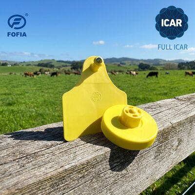 Étiquette d'oreille électronique RFID 134.2KHz, Certification ICAR complète, pour l'identification des porcs, chèvres et moutons