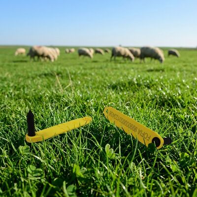 FOFIA ET969 étiquette d'oreille électronique imperméable à l'eau pour moutons avec identifiant unique