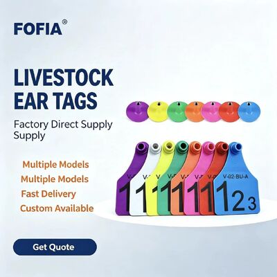 Étiquettes d'oreille de vache en plastique, différentes tailles, en TPU, pour bovins, moutons, porcs, ferme, avec numéro