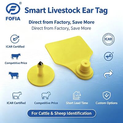 Fofia T904 étiquette d'oreille d'animal RFID TPU 72*57mm Laser Coding Ferme de bétail Porc moutons Icar
