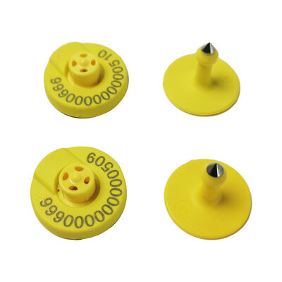 RFID FDX HDX Étiquettes auriculaires électroniques pour animaux 134.2KHz Bétail Porc Bétail