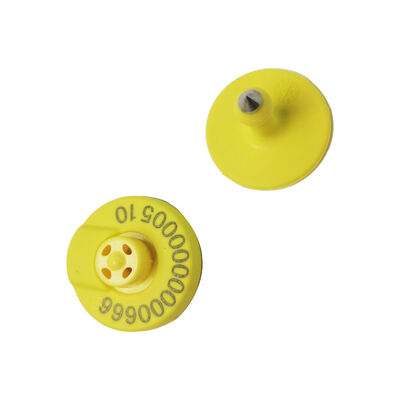RFID FDX HDX Étiquettes auriculaires électroniques pour animaux 134.2KHz Bétail Porc Bétail