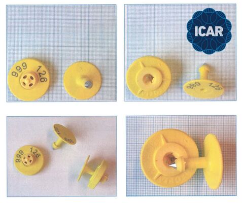 Nouveau plein ICAR RFID imperméable à l'eau TPU étiquettes d'oreille d'animal jaune 14.5 mm EM4305 puces 5 ans de garantie Fofia utilisation de ferme