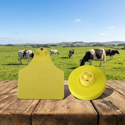 Étiquette d'oreille de porc jaune, étiquette d'identification ICAR complète pour bétail, haute visibilité, adaptée au système de suivi des fermes porcines