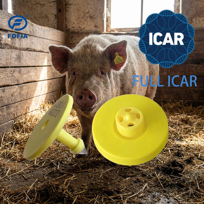 Nouvelle ferme spéciale grosse étiquette d'oreille de vache en TPU FULL ICAR certifiée pour le bétail moutons vache chèvre chien