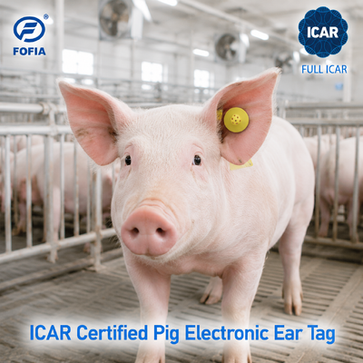 Fofia ET908 RFID étiquette d'oreille animale 134.2KHz FDX-B étiquette d'identification intelligente du bétail avec ICAR complet