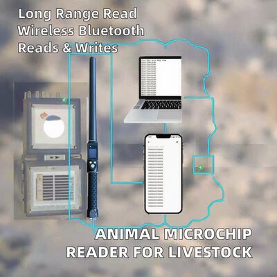 Résistant à l'eau à longue portée 134,2 kHz RFID lecteur d'étiquette d'oreille ISO11784/5 Protocole 30-100cm Distance de lecture Matériau en PVC pour l'agriculture