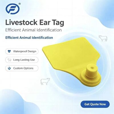 Puce de transpondeur ICAR Fofia T904 pour animaux, nouvelle haute qualité, RFID TPU, codage laser, garantie 3 ans, utilisation agricole pour le suivi du bétail