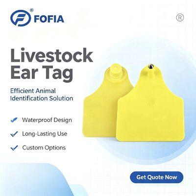 ICAR T904+T905 étiquette d'oreille de suivi des animaux nouvelle RFID TPU plastique 70 * 57mm codage laser 3 ans de garantie
