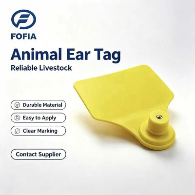 ICAR Fofia T904+T901 étiquette d'oreille animale nouvelle RFID de haute qualité TPU 72*57mm codage laser 3 ans de garantie utilisation en ferme pour le bétail