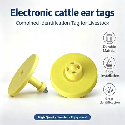 Étiquette d'oreille RFID imperméable à l'eau avec conformité ISO11784/5 et garantie de 5 ans pour le suivi du bétail