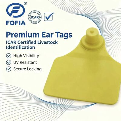 ICAR Fofia T904 étiquette d'oreille d'animal puce RFID TPU laser de haute qualité 3 ans de garantie
