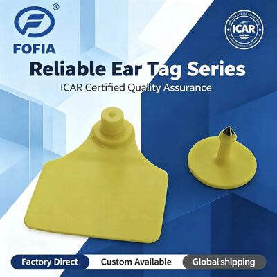 L'étiquette d'oreille d'animal ICAR Fofia T904+T901 étanche à l'eau Nouveau RFID TPU de haute qualité 72*57mm Codage laser Garantie de 3 ans pour une utilisation en ferme
