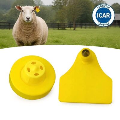 Étiquette électronique Fofia ET957+T967 pour moutons et chèvres, étanche, nouvelle génération, RFID TPU, codage laser de haute qualité