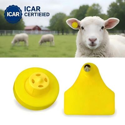 Fofia ET957+T967 Combinaison Mouton Chèvre Électronique pour Ferme Étiquette d'oreille de suivi Nouvelle haute qualité RFID TPU Codage Laser 3 ans
