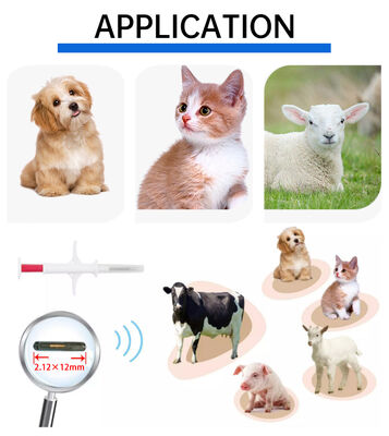 Résistant à l'eau Fofia Nouveau à la vente à chaud RFID 134.2kHz PP Matériau Identifiant de chien Microchips Résistant à l'eau Utilisation agricole Injection pour animaux de compagnie 1,5 Année étiquette d'oreille