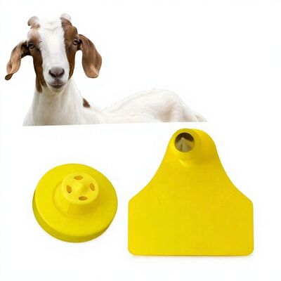Étiquette d'oreille électronique de suivi d'animal de mouton de chèvre étanche à l'eau de haute qualité RFID TPU Laser Coding Modèle de garantie de 3 ans