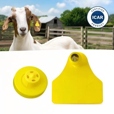 Fofia ET957+T967 Combinaison de moutons, de chèvres, de bovins et de bovins, suivi électronique de l'exploitation agricole, étiquette d'oreille RFID de haute qualité 3