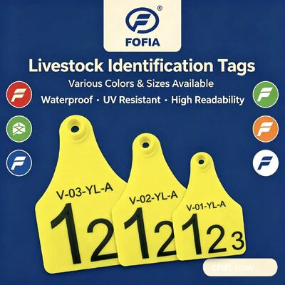 Nouvelles étiquettes d'oreille en plastique pour bovins, bovins, moutons et porcs, étiquettes d'identification d'animaux avec puce de suivi d'animaux