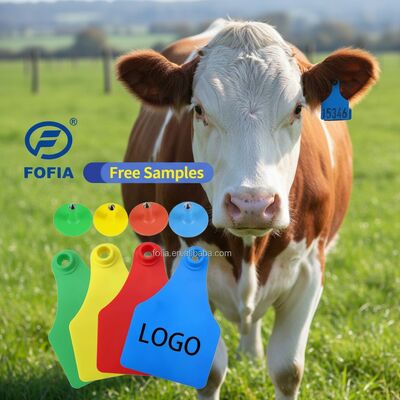 Nouvelles étiquettes d'oreille en plastique pour bovins, bovins, moutons et porcs, étiquettes d'identification d'animaux avec puce de suivi d'animaux