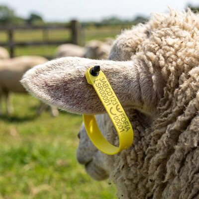 New Fofia High-Temperature Resistant Integrated Anti-Shedding Electronic Laser-Coded ET969 Yellow Sheep RFID Ear Tag TPU Animal