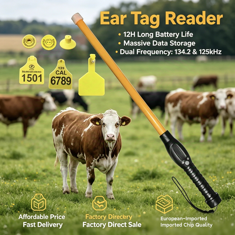Étiquettes auriculaires électroniques certifiées RFID ICAR ISO11784 85 Conforme FDX B Matériau TPU étanche Conception durable pour la gestion des animaux